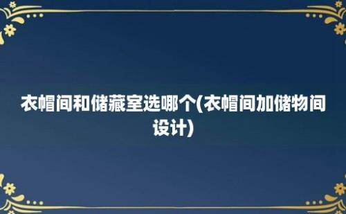 衣帽间和储藏室选哪个(衣帽间加储物间设计)