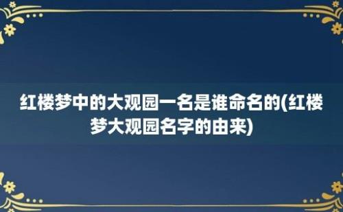 红楼梦中的大观园一名是谁命名的(红楼梦大观园名字的由来)