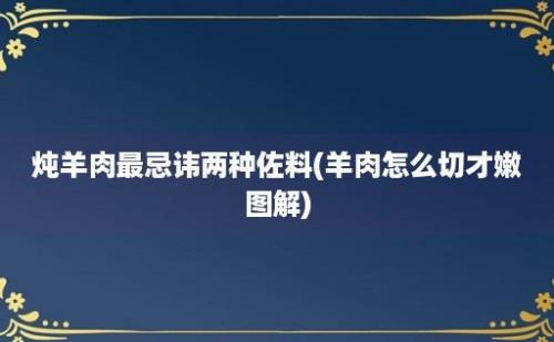 炖羊肉最忌讳两种佐料(羊肉怎么切才嫩图解)