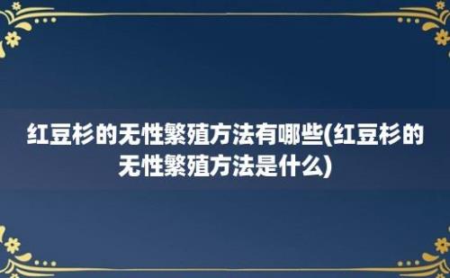 红豆杉的无性繁殖方法有哪些(红豆杉的无性繁殖方法是什么)