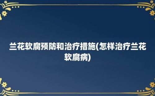 兰花软腐预防和治疗措施(怎样治疗兰花软腐病)