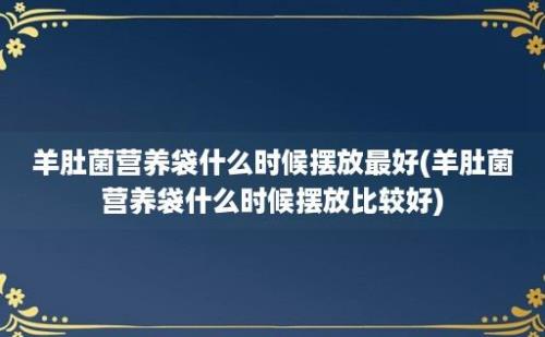 羊肚菌营养袋什么时候摆放最好(羊肚菌营养袋什么时候摆放比较好)