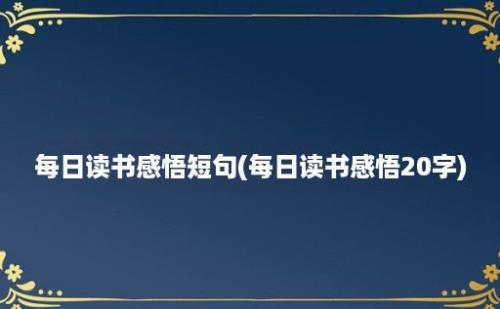 每日读书感悟短句(每日读书感悟20字)