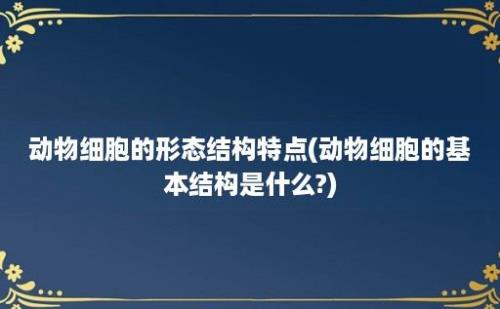 动物细胞的形态结构特点(动物细胞的基本结构是什么?)