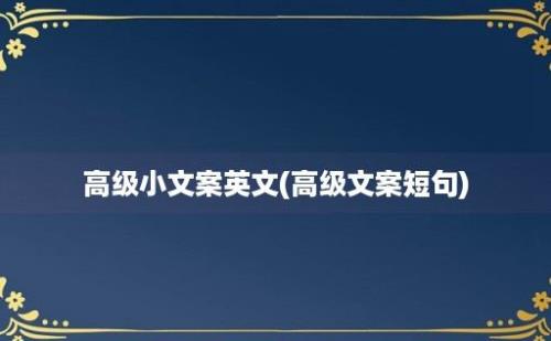 高级小文案英文(高级文案短句)