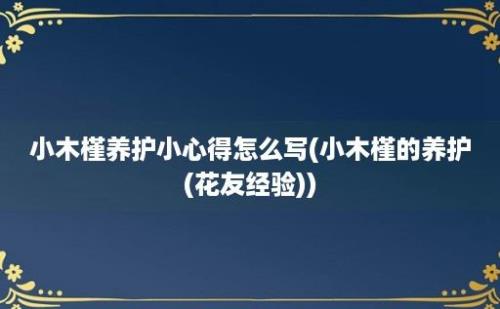 小木槿养护小心得怎么写(小木槿的养护(花友经验))