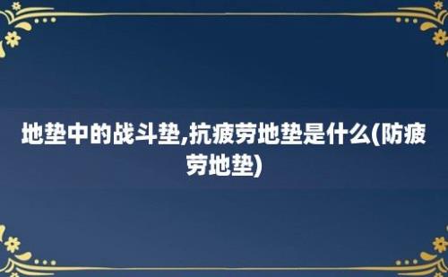 地垫中的战斗垫,抗疲劳地垫是什么(防疲劳地垫)