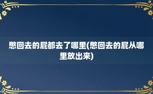 憋回去的屁都去了哪里(憋回去的屁从哪里放出来)