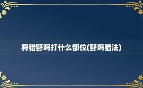 狩猎野鸡打什么部位(野鸡猎法)