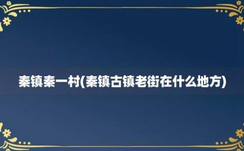 秦镇秦一村(秦镇古镇老街在什么地方)