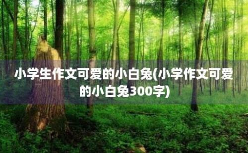 小学生作文可爱的小白兔(小学作文可爱的小白兔300字)