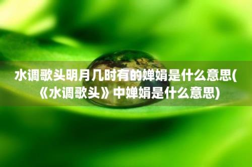 水调歌头明月几时有的婵娟是什么意思(《水调歌头》中婵娟是什么意思)