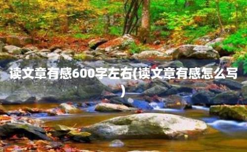 读文章有感600字左右(读文章有感怎么写)