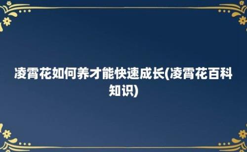 凌霄花如何养才能快速成长(凌霄花百科知识)