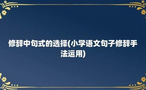 修辞中句式的选择(小学语文句子修辞手法运用)