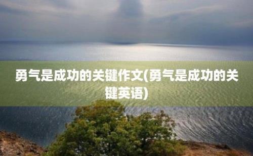 勇气是成功的关键作文(勇气是成功的关键英语)