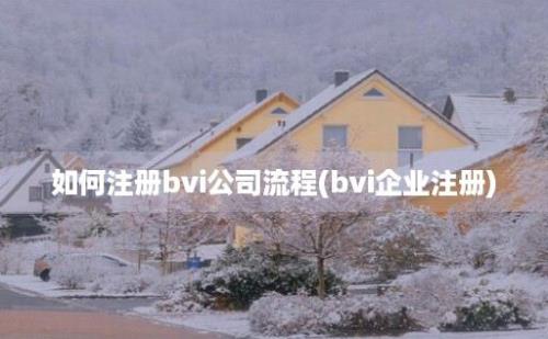 如何注册bvi公司流程(bvi企业注册)