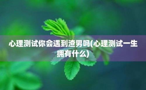 心理测试你会遇到渣男吗(心理测试一生拥有什么)