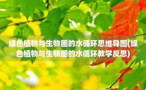 绿色植物与生物圈的水循环思维导图(绿色植物与生物圈的水循环教学反思)