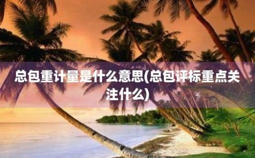 总包重计量是什么意思(总包评标重点关注什么)