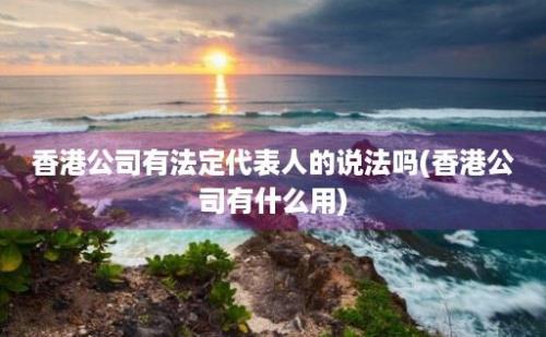 香港公司有法定代表人的说法吗(香港公司有什么用)