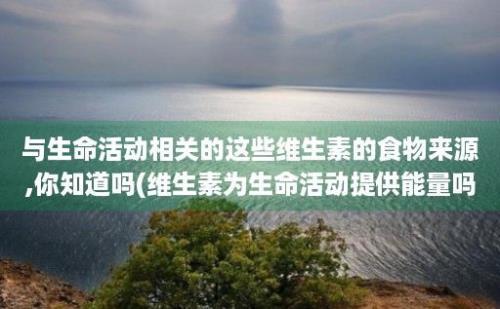 与生命活动相关的这些维生素的食物来源,你知道吗(维生素为生命活动提供能量吗?)