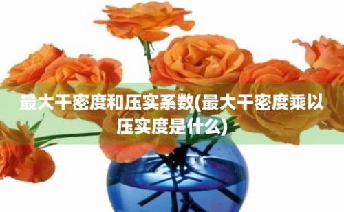 最大干密度和压实系数(最大干密度乘以压实度是什么)