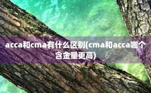 acca和cma有什么区别(cma和acca哪个含金量更高)