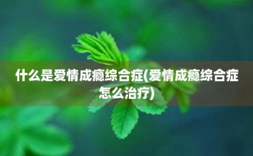 什么是爱情成瘾综合症(爱情成瘾综合症怎么治疗)