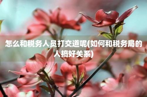 怎么和税务人员打交道呢(如何和税务局的人搞好关系)