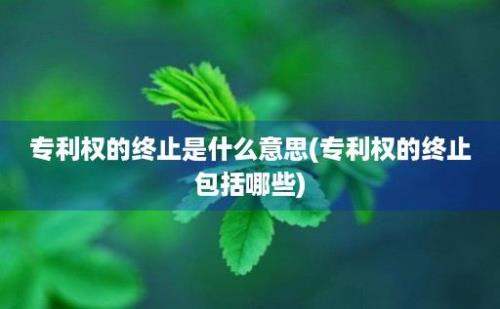 专利权的终止是什么意思(专利权的终止包括哪些)