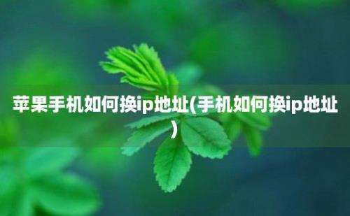 苹果手机如何换ip地址(手机如何换ip地址)