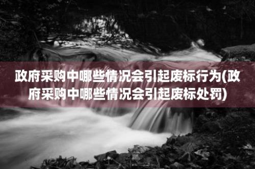 政府采购中哪些情况会引起废标行为(政府采购中哪些情况会引起废标处罚)