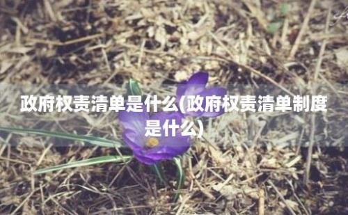 政府权责清单是什么(政府权责清单制度是什么)