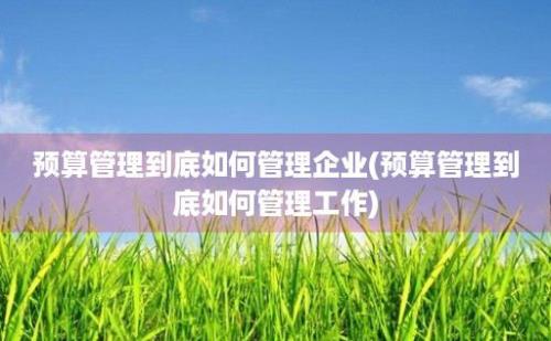 预算管理到底如何管理企业(预算管理到底如何管理工作)