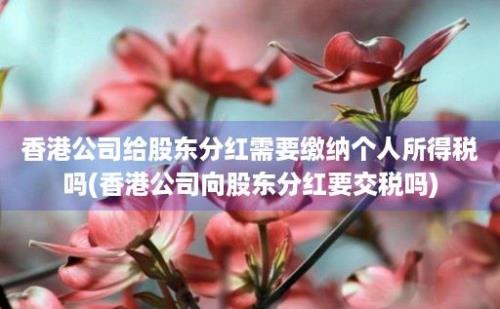 香港公司给股东分红需要缴纳个人所得税吗(香港公司向股东分红要交税吗)