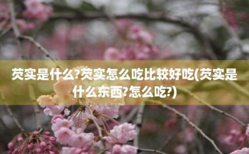 芡实是什么?芡实怎么吃比较好吃(芡实是什么东西?怎么吃?)