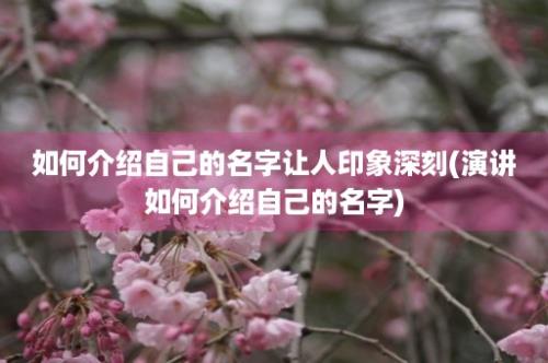 如何介绍自己的名字让人印象深刻(演讲如何介绍自己的名字)