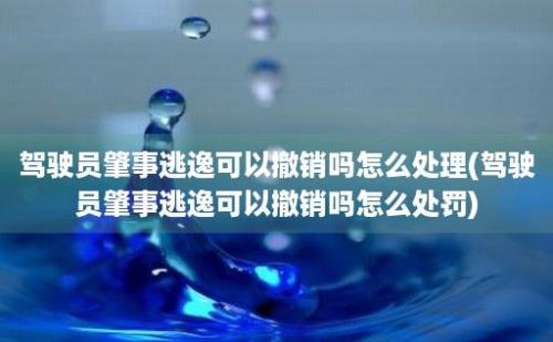 驾驶员肇事逃逸可以撤销吗怎么处理(驾驶员肇事逃逸可以撤销吗怎么处罚)