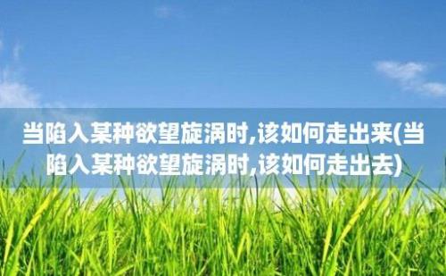 当陷入某种欲望旋涡时,该如何走出来(当陷入某种欲望旋涡时,该如何走出去)