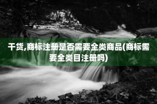 干货,商标注册是否需要全类商品(商标需要全类目注册吗)