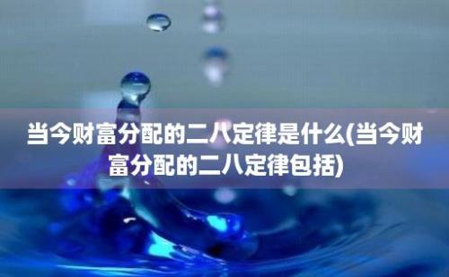 当今财富分配的二八定律是什么(当今财富分配的二八定律包括)