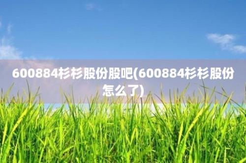 600884杉杉股份股吧(600884杉杉股份怎么了)