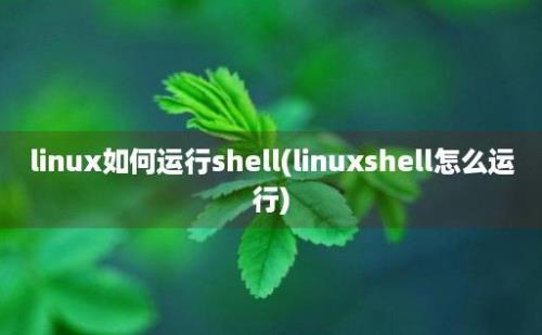 linux如何运行shell(linuxshell怎么运行)