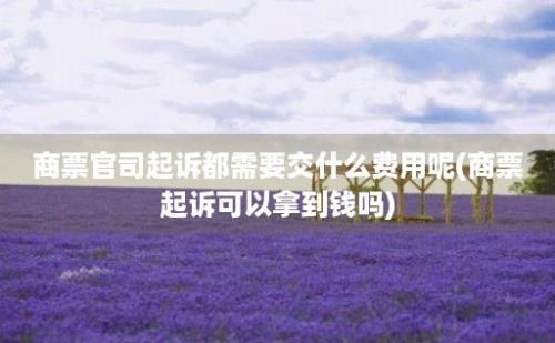 商票官司起诉都需要交什么费用呢(商票起诉可以拿到钱吗)