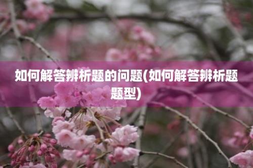 如何解答辨析题的问题(如何解答辨析题题型)