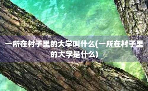 一所在村子里的大学叫什么(一所在村子里的大学是什么)