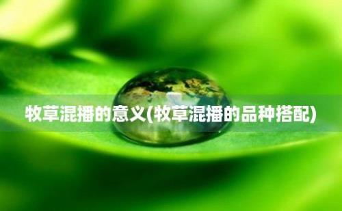 牧草混播的意义(牧草混播的品种搭配)