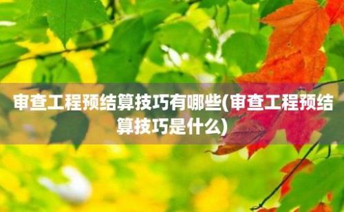 审查工程预结算技巧有哪些(审查工程预结算技巧是什么)