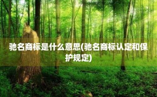 驰名商标是什么意思(驰名商标认定和保护规定)